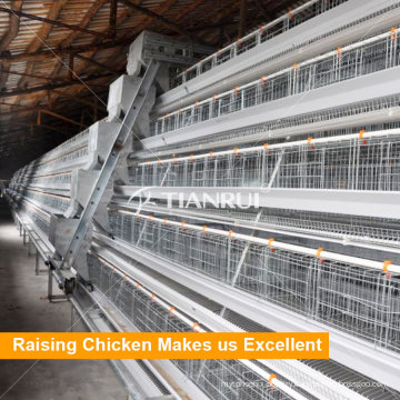 A Type Automatic Battery Chicken Cage for Layer/ Broiler